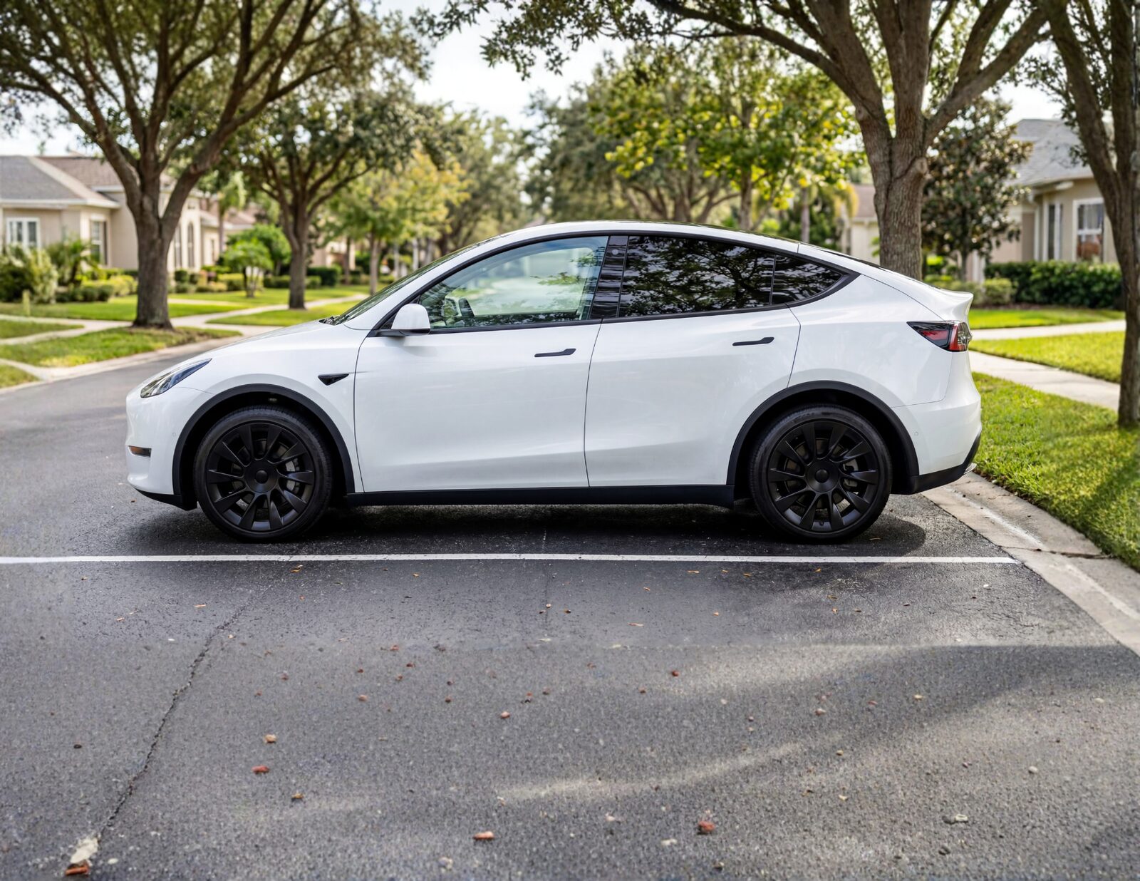 Model S